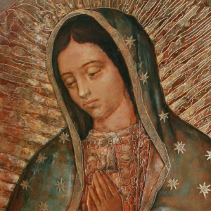 Novena a la Virgen de Guadalupe Image